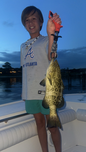Nice gag grouper using deep sea trolling techniques!