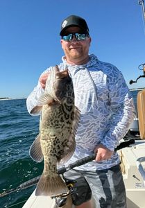 Gag Grouper caught while fishing in FL
