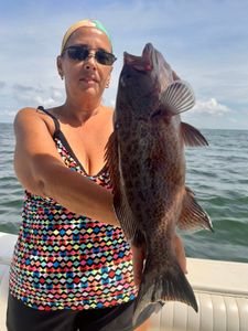 Gag Grouper fish caught by two people in Pensacola