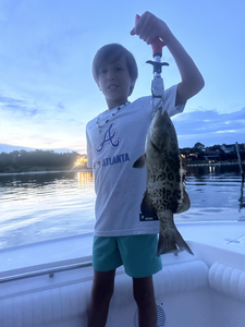 Nice gag grouper using deep sea trolling techniques at Southwind Marina!