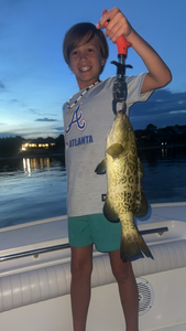 Nice gag grouper using deep sea trolling techniques in Pensacola waters.