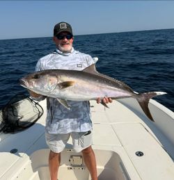 A Greater Amberjack caught while fishing in FL