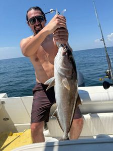 A Greater Amberjack caught by a fisherman in Pensacola
