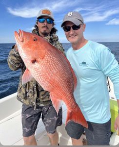 Anglers caught a grey snapper while fishing in FL