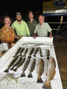 Nine Lookdown and Spotted Weakfish in a fishing scene in FL