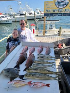 A great fishing trip with 8 bluefish and grey triggerfish caught in Pensacola