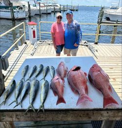 7 fish caught during fishing trip in Pensacola