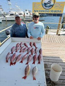 8 pinfish caught fishing in Pensacola