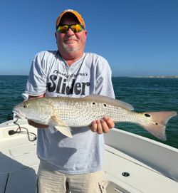Redfish caught while fishing in FL
