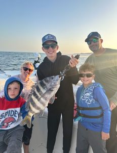 Sheepshead fish caught in Pensacola