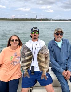 Two sheepshead fish caught while fishing in Pensacola