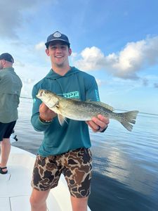 Spotted Weakfish, 23 inches, fishing in FL