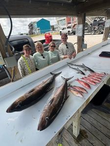 Two great barracuda and blackfin tuna caught during fishing in Pensacola