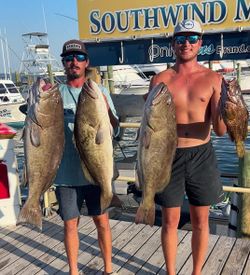 Two people fishing in FL, catching 4 unidentified fish