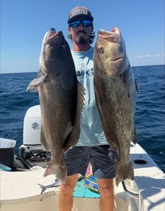 Two Gag Grouper fish caught in Pensacola
