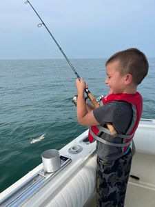 Angler fishing in OH
