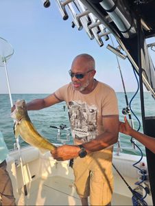 Angler fishing in OH