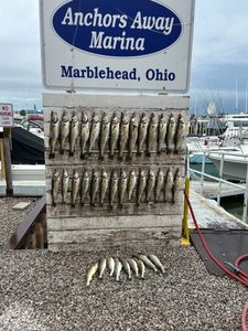 Fishing in OH