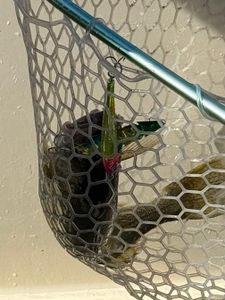 A picturesque lakeside view in Lakeside Marblehead