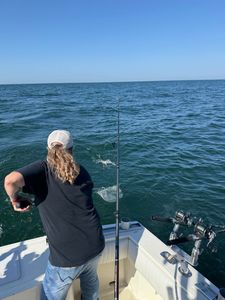 Scenic landscape of OH