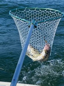 Scenic landscape in OH, best fishing spot