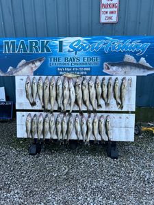 4 fishing rods in a scenic Ohio landscape