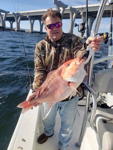 Black Drum in Florida