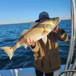 Pensacola's Top Redfish Fishing