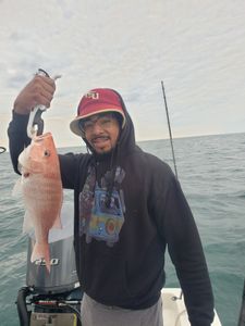 Red Snapper in Florida