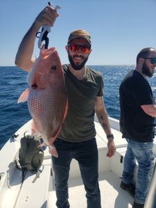 Red Snapper in Florida