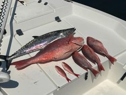 Reeling in a big catch on Pensacola's clear waters