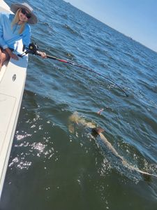 Inshore fishing fun with Captain Tim King