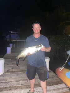 Tarpon in Florida