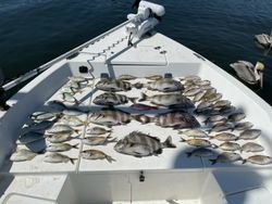 Black Drum Fishing Trip