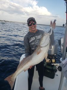 Redfish in Florida