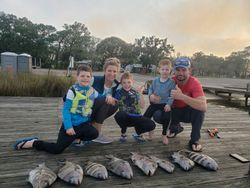 Black Drum in Florida