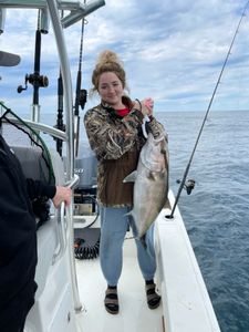 Amberjack