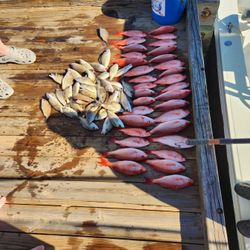 deep sea fishing pensacola