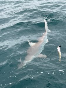 Fishing at Pensacola Bay