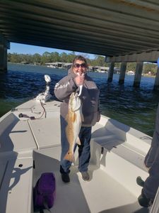 Redfish in Florida