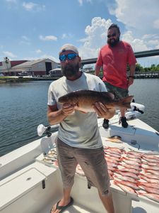 Afternoon Guided Fishing Expeditions 