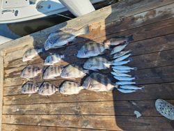 pensacola inshore fishing