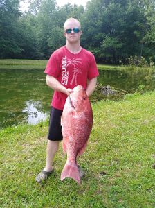 Red Snapper in Florida