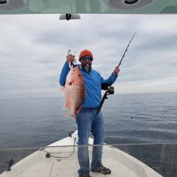 Red Snapper in Florida