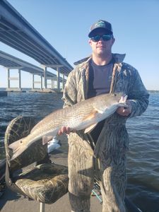 Redfish in Florida