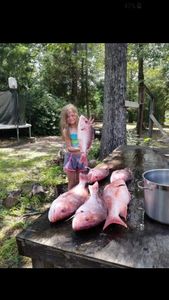 Red Snapper in Florida