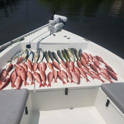 Red Snapper in Florida