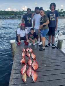 Top Red Snapper Fishing