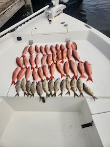 Caught Cobia at Pensacola Bay