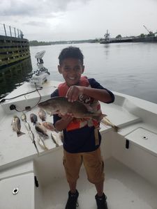 Snapper at Pensacola 